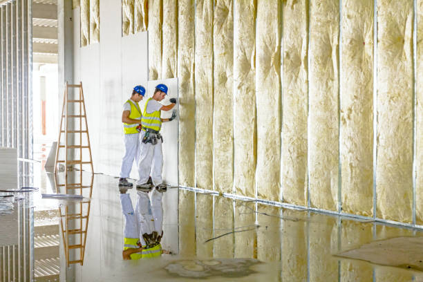 Best Crawl Space Insulation  in Brigantine, NJ